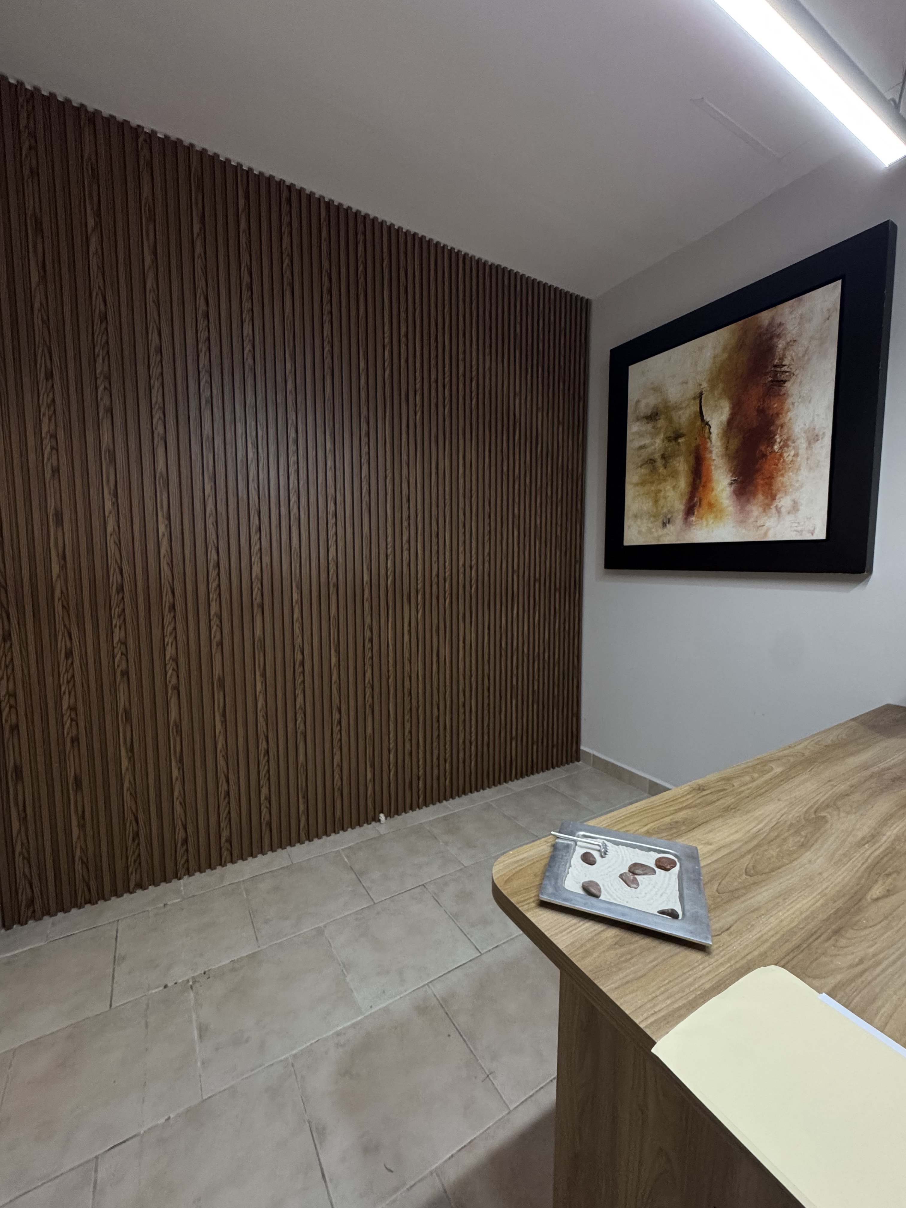 Televisa - Vertical 11