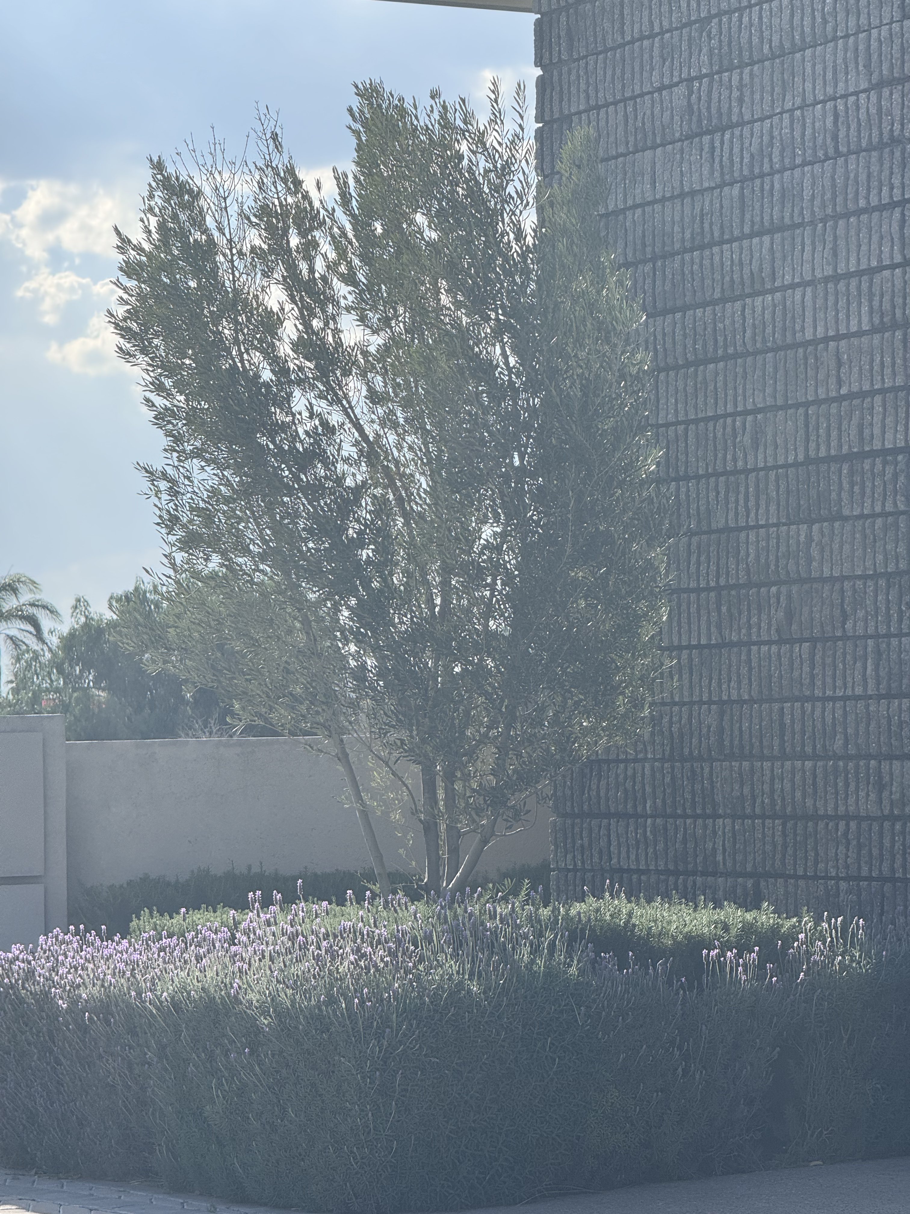 Casa Borbon - Hacienda Carlota, Querétaro